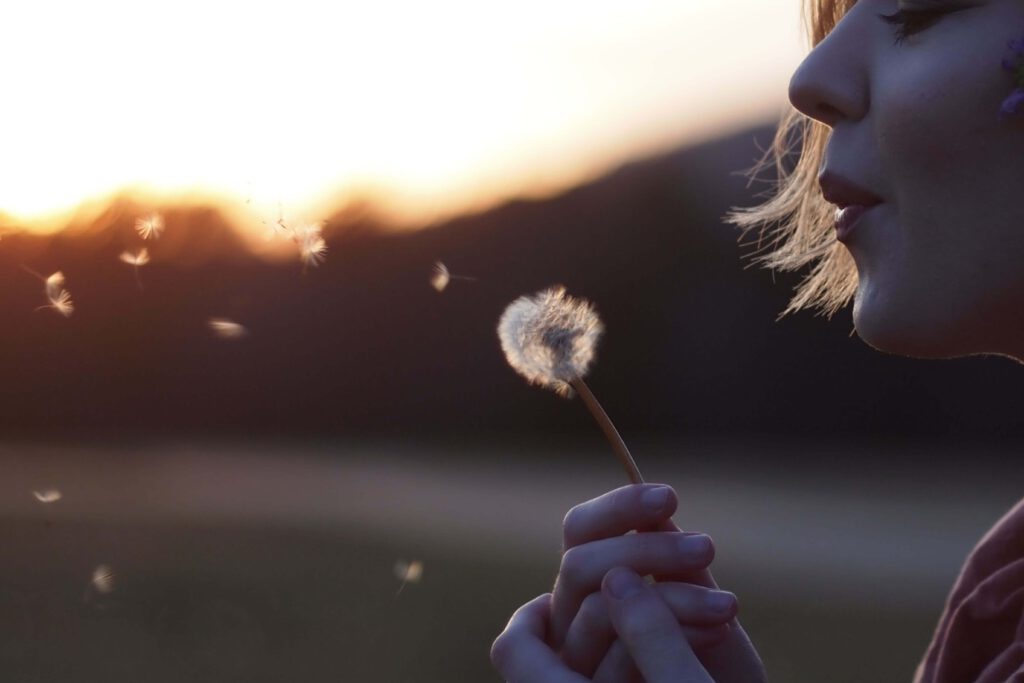 Dr. Joe Dispenza methode mindset verbeteren